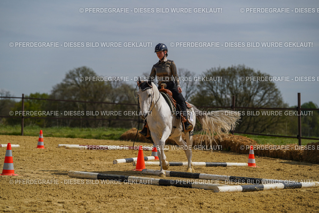 DSC04721 | Pferdegrafie