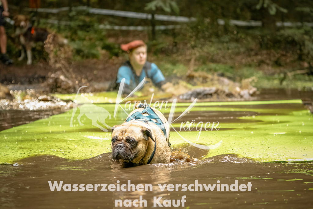 1414_ZZ91680-Bearbeitet | kk-dogfotos