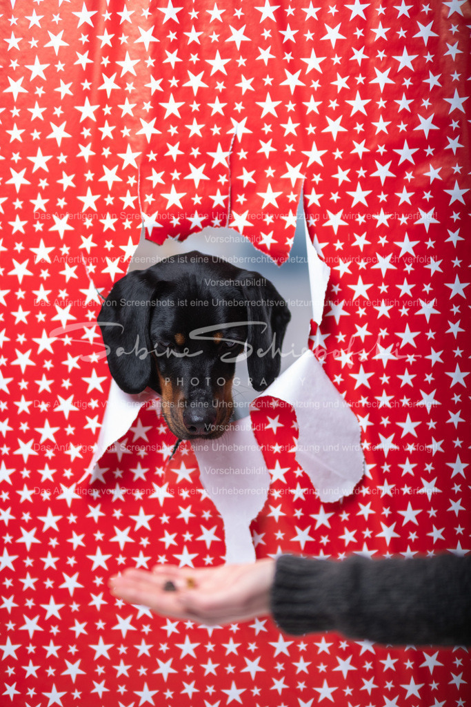 DSCF4394 | People- und Tierfotografie, Imageaufnahmen, Veranstaltungsfotografie und Wandbilder aus der Natur ★ Made in Germany ✔️ Druck + Downloads ✔️ Naturfotografie in Top Qualität ★ schneller Versand, weltweite Lieferung! - Realisiert mit Pictrs.com