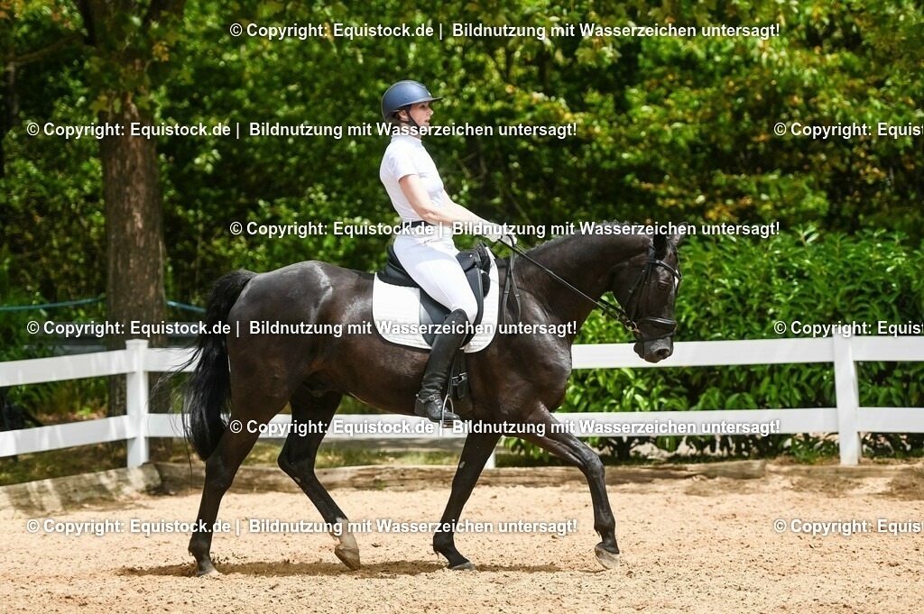 20230715_05_Dressurprüfung Kl.A++_0262 | equistock