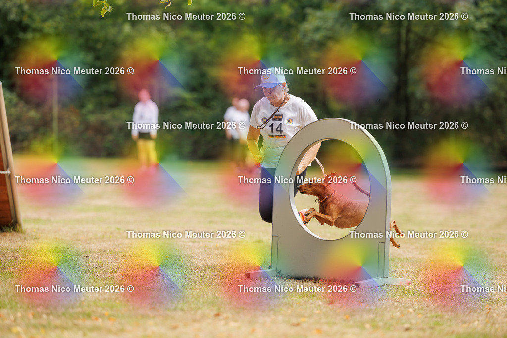Thomas_Nico_Meuter(C)_22. August 2026_223A4638 | Bild von Thomas Nico Meuter - Realisiert mit Pictrs.com