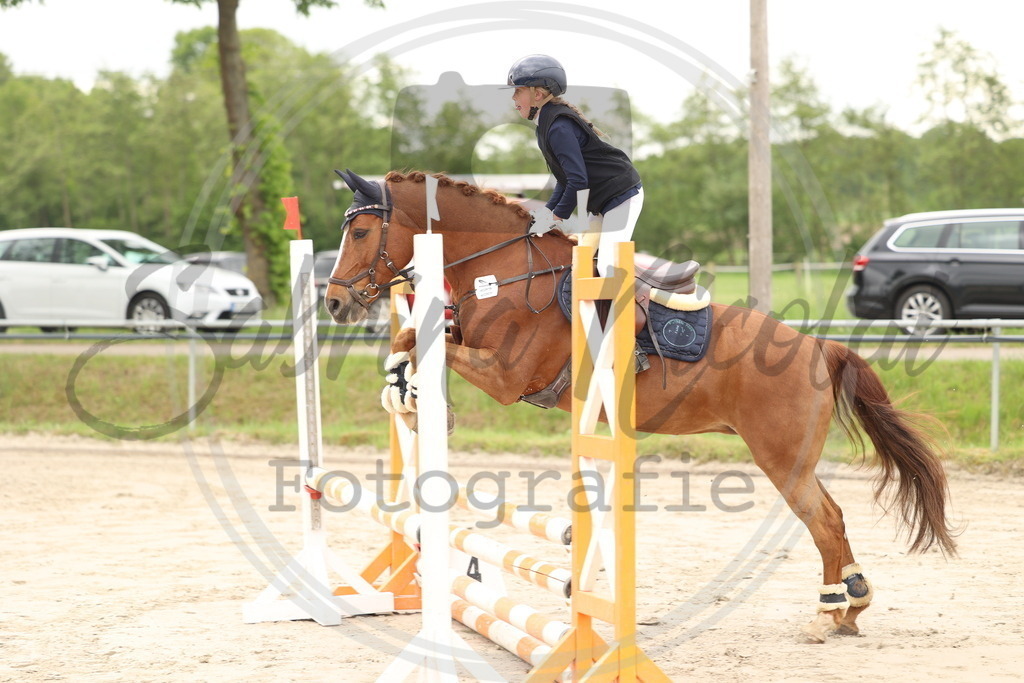 994A8860 | sabrinanicolaifotografie - Realisiert mit Pictrs.com