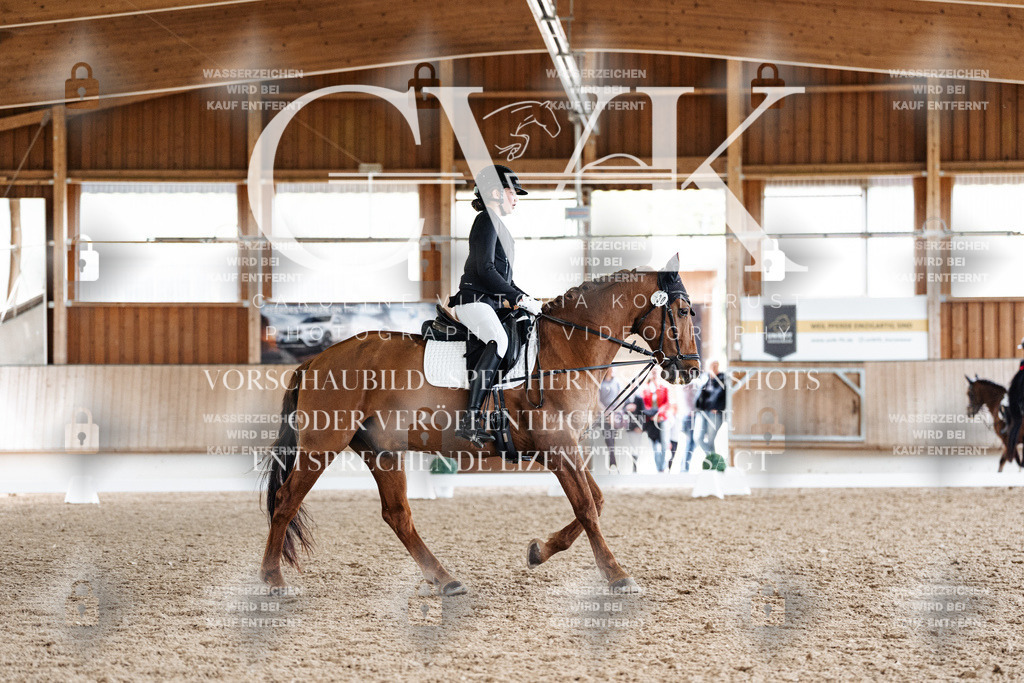 CK900646 | Turnierfotografie Pferdefotografie Trier Rheinland-Pfalz Pferdesport Reitsport Tierfotografie Sportfotografie Pferdevideo Pferdevideografie Equestrianvideography equestrianphotography  - Realized with Pictrs.com