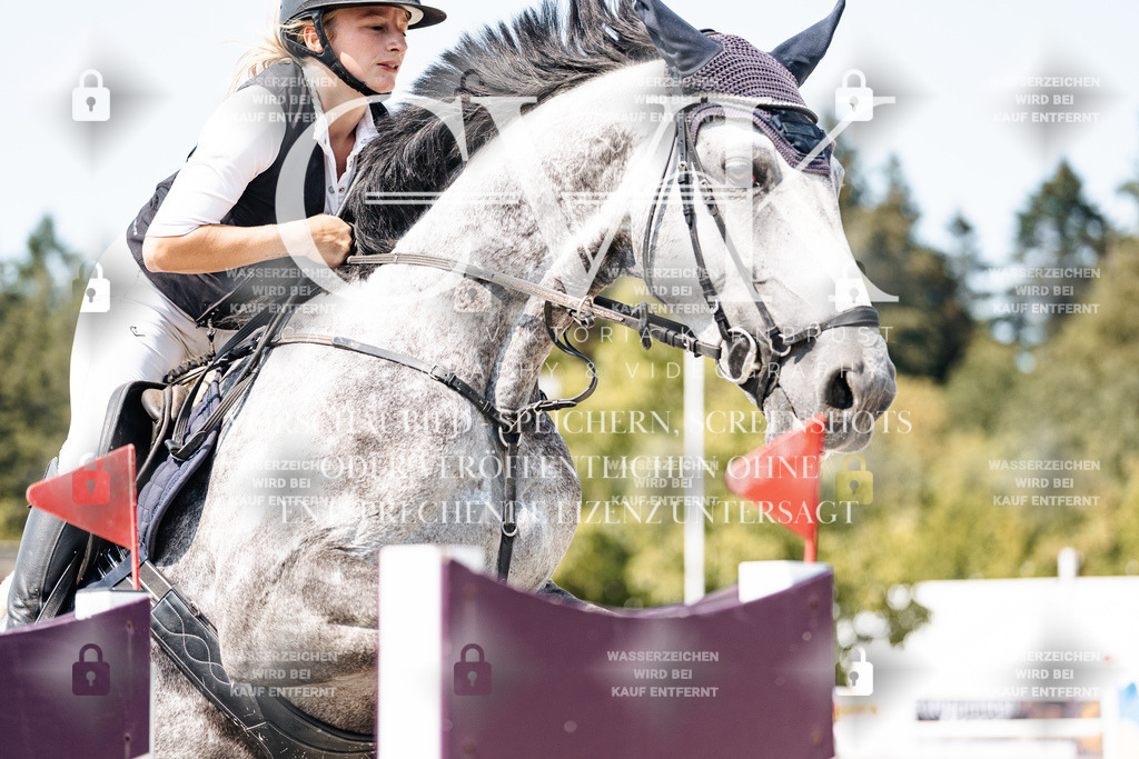 CK901117 | Turnierfotografie Pferdefotografie Trier Rheinland-Pfalz Pferdesport Reitsport Tierfotografie Sportfotografie Pferdevideo Pferdevideografie Equestrianvideography equestrianphotography  - Realisiert mit Pictrs.com