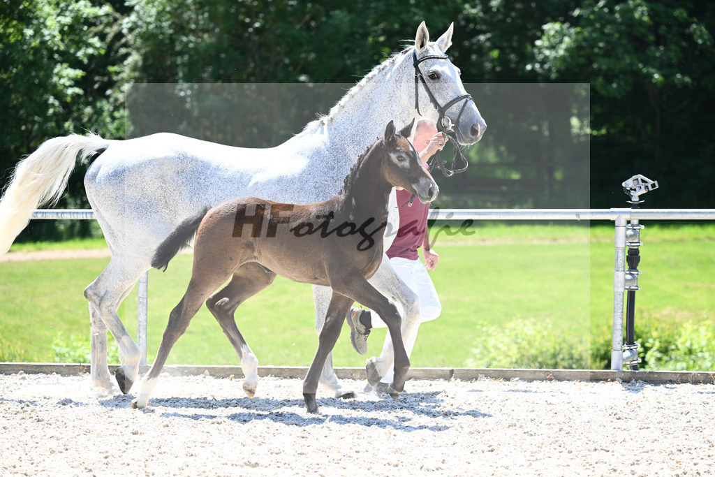 Kat-Nr. 16 SF Zinedine_Ruppert_16230500 | hf-fotografie - Realisiert mit Pictrs.com