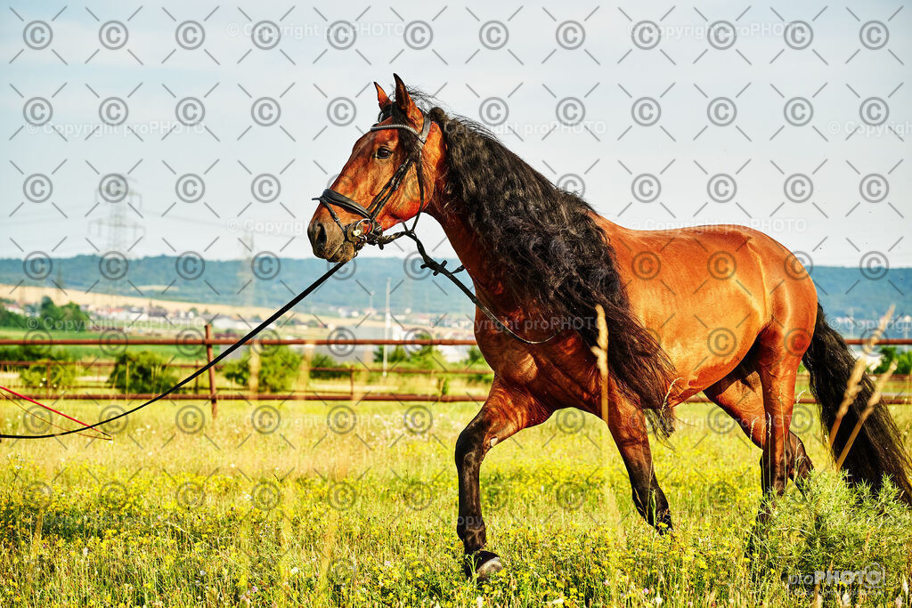 297_202406_Niki-Herodes_NZ9_0245 | proPHOTO - Realisiert mit Pictrs.com