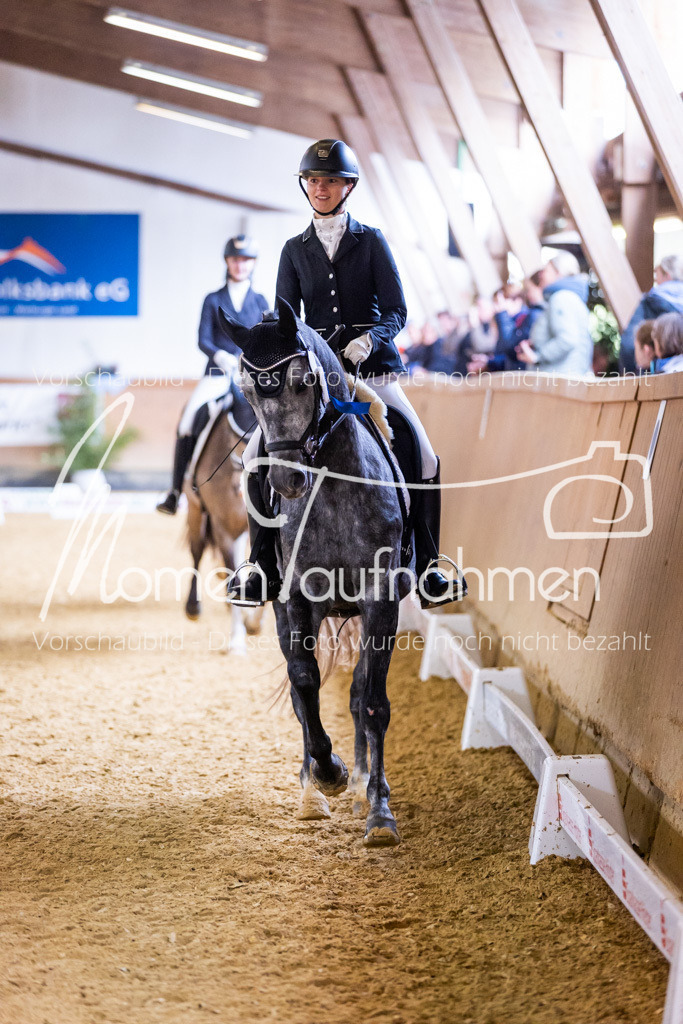 Sth-A-Dre-2St-253 | MomenTaufnahmen Pferdesportfotos