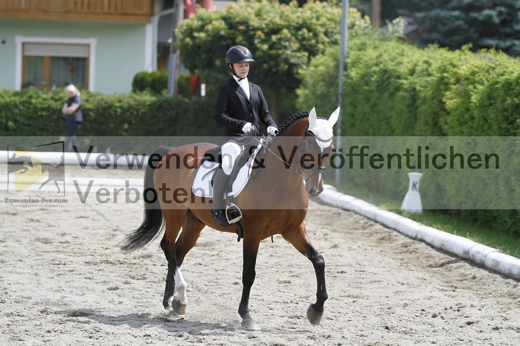 _MG_8604 | equestrian-live-com