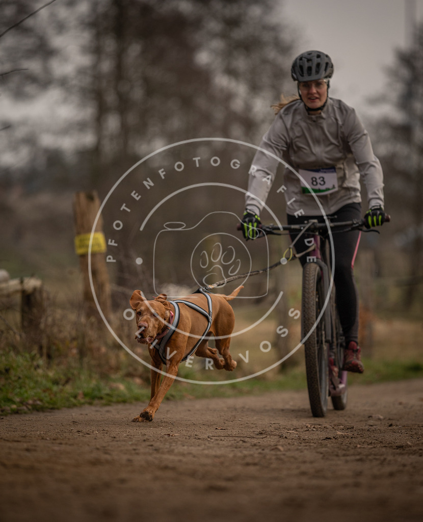 Pfotenfotografie_DV3A4014 | Hundefotografie, Tierfotograf, Pfotenfotografie, Fotoshooting Hund, Hunde Portrait, Hundesport, Hundeportraits, Heideshooting, Hunde, Sportfotograf, Hundefotograf, Turnierhundsport, THS,  - Realisiert mit Pictrs.com