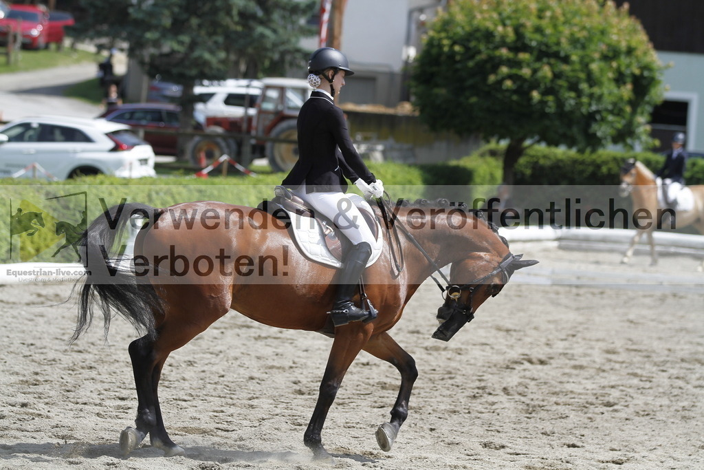 _MG_8459 | equestrian-live-com