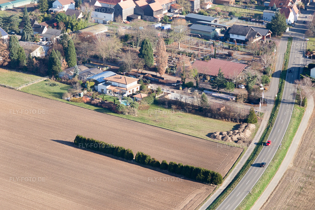 Luftbild: Ortsansicht in Erlenbach bei Kandel im Bundesland Rheinland-Pfalz in Deutschland. Foto: IMG_095883.jpg vom 03.12.2016 durch Werner Riehm/FLY-FOTO.de