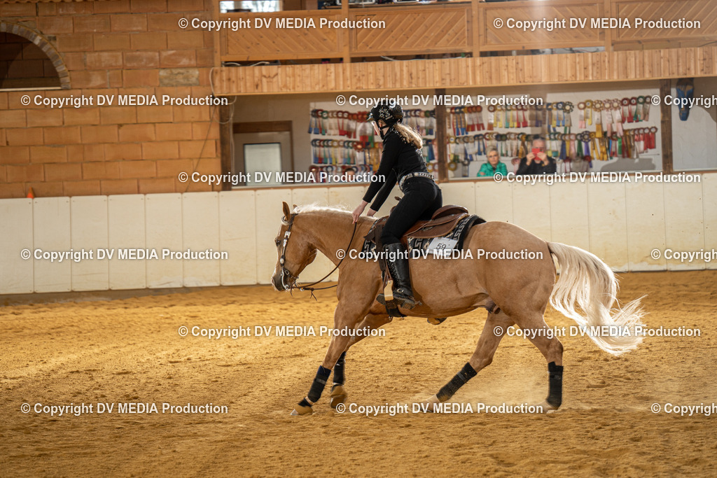 MIT01002 | dv-media-shop - Realisiert mit Pictrs.com