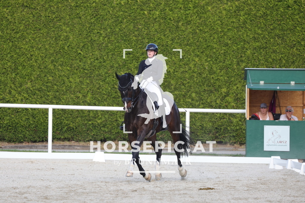 0P6A3739 | Willkommen bei Brunnmayr - Design & Fotografie – Ihrem Spezialisten für Reitturniere und Pferdeveranstaltungen in Oberösterreich, Salzburg und Bayern! Seit über 17 Jahren sind wir leidenschaftlich dabei.