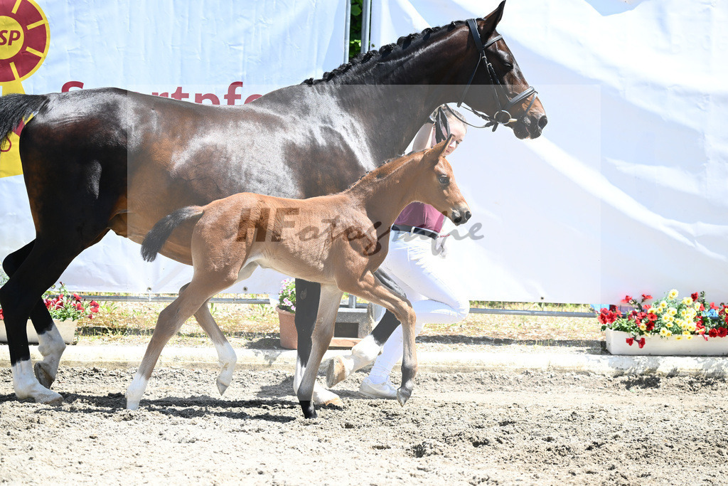 Kat-Nr. 38 SF Bonds_Hagmann_12230976 | hf-fotografie - Realizzato con Pictrs.com