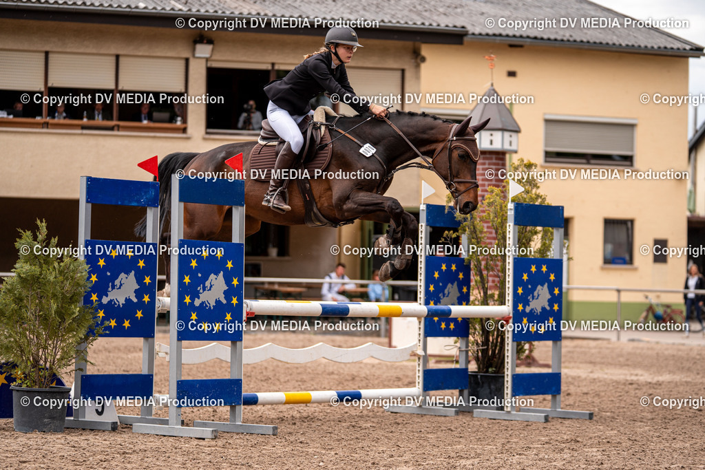 Eppelheim Tag 1-444 | dv-media-shop - Realisiert mit Pictrs.com