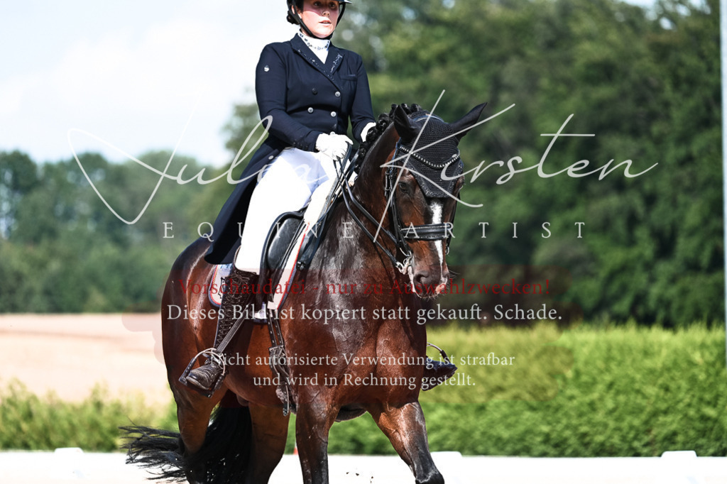 DSC_3356 | Pferde- und Turnierfotografie in Westsachsen. Pferdeportraits, Auftragszeichnungen und intuitive Kunst.