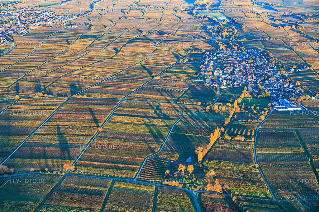 Ortsansicht zwischen herbtlich gefärbten Weinbergen von Westen im Abendlicht | Luftbild: Ortsansicht zwischen herbtlich gefärbten Weinbergen von Westen im Abendlicht in Roschbach im Bundesland Rheinland-Pfalz in Deutschland. Foto: IMG_150955.jpg vom 05.11.2025 durch Werner Riehm/FLY-FOTO.de - Realisiert mit Pictrs.com