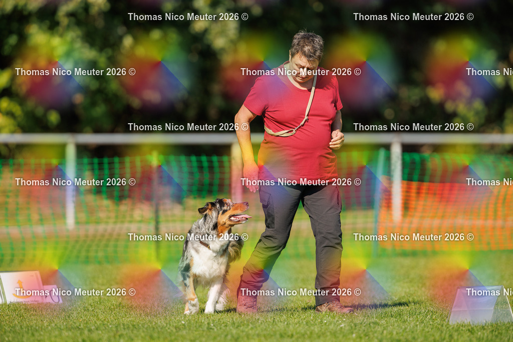Thomas_Nico_Meuter(C)_04. Oktober 2026_223A2903 | Bild von Thomas Nico Meuter - Realisiert mit Pictrs.com