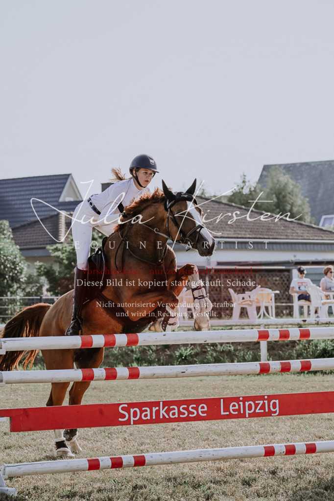 DSC_2778 | Pferde- und Turnierfotografie in Westsachsen. Pferdeportraits, Auftragszeichnungen und intuitive Kunst.