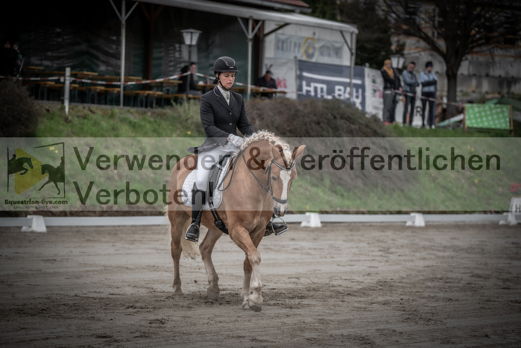 DSC_9031 | equestrian-live-com