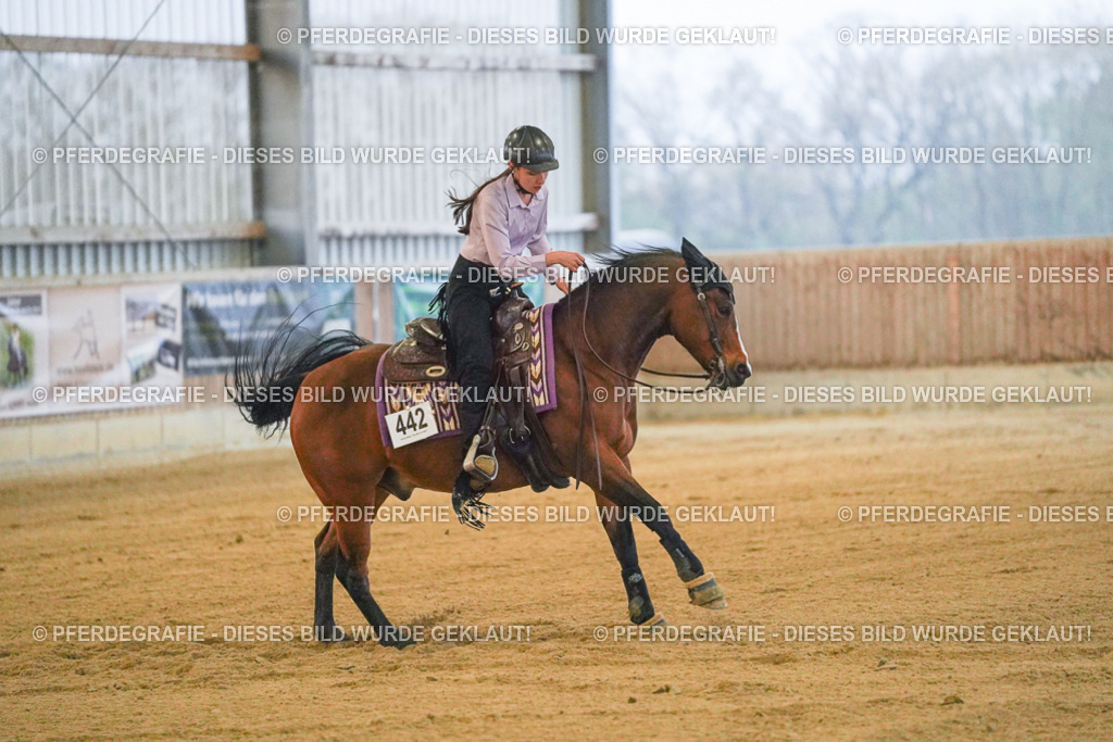 DSC09385 | Pferdegrafie