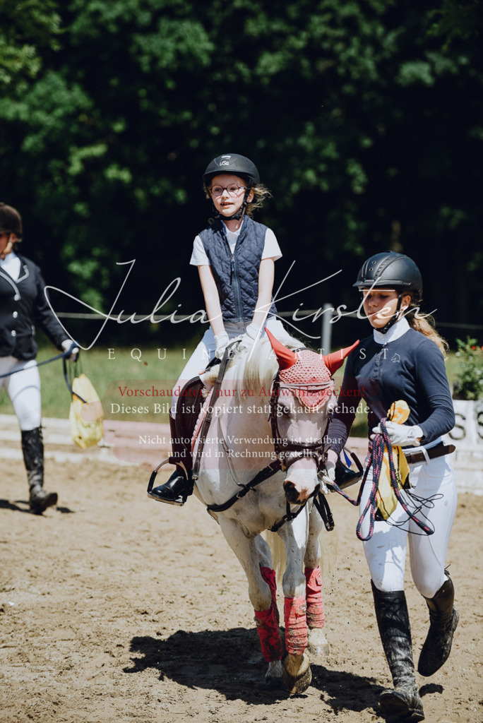 DSC_2710 | Pferde- und Turnierfotografie in Westsachsen. Pferdeportraits, Auftragszeichnungen und intuitive Kunst.