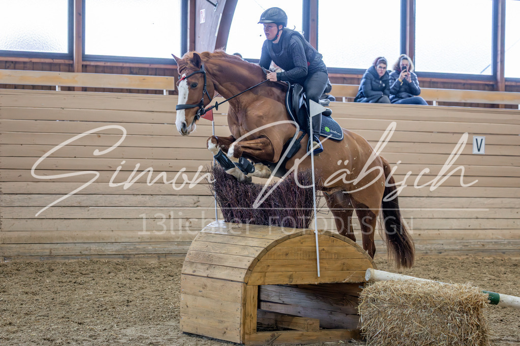 20260222-_3LI1700 | Tierfotografie Pferde, Hunde, Katzen, Haustiere.
Turnierfotografie Reitturniere, Reiten, Springreiten, Dressur in Hanau, dem Main-Kinzig-Kreis und dem Rhein-Main- Gebiet um Frankfurt