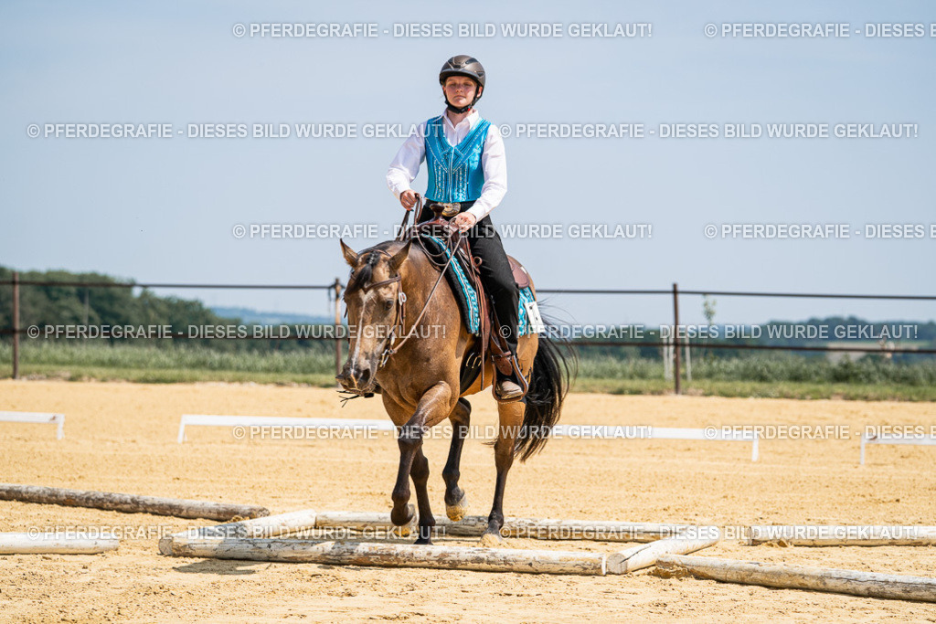 DSC00962 | Pferdegrafie