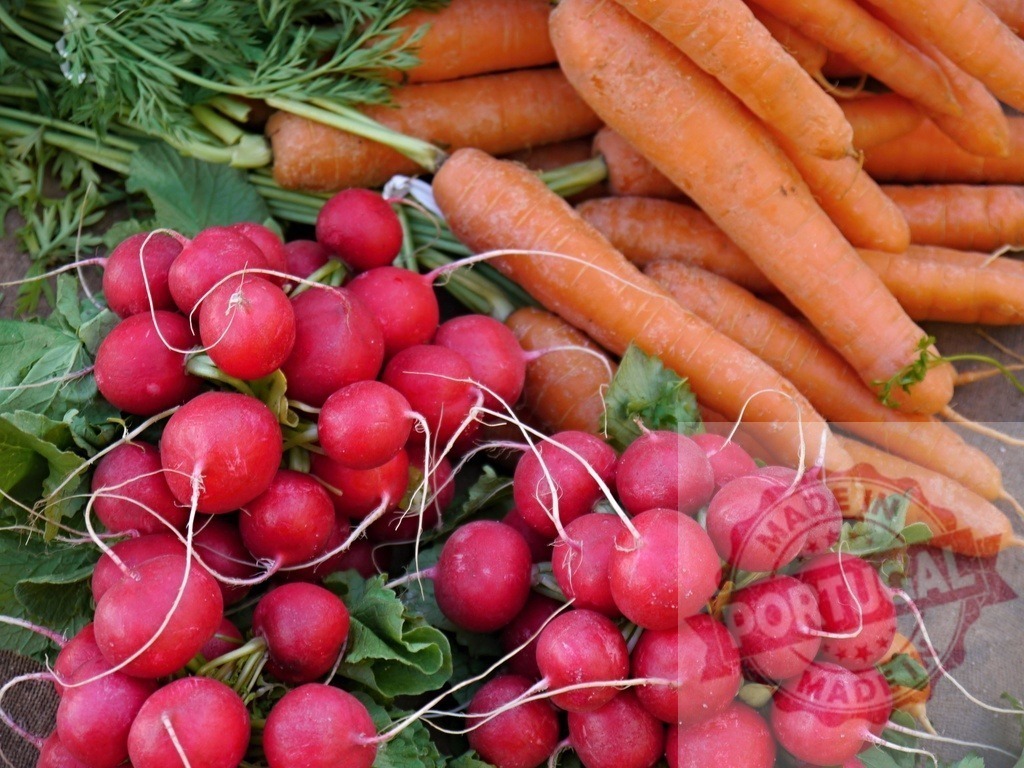 Fresh radishes and carrots from farmer's market | Freshly harvested organic radishes and carrots displaying vibrant colors and healthy appeal - Realized with Pictrs.com