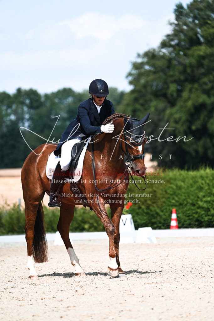 DSC_3225 | Pferde- und Turnierfotografie in Westsachsen. Pferdeportraits, Auftragszeichnungen und intuitive Kunst.