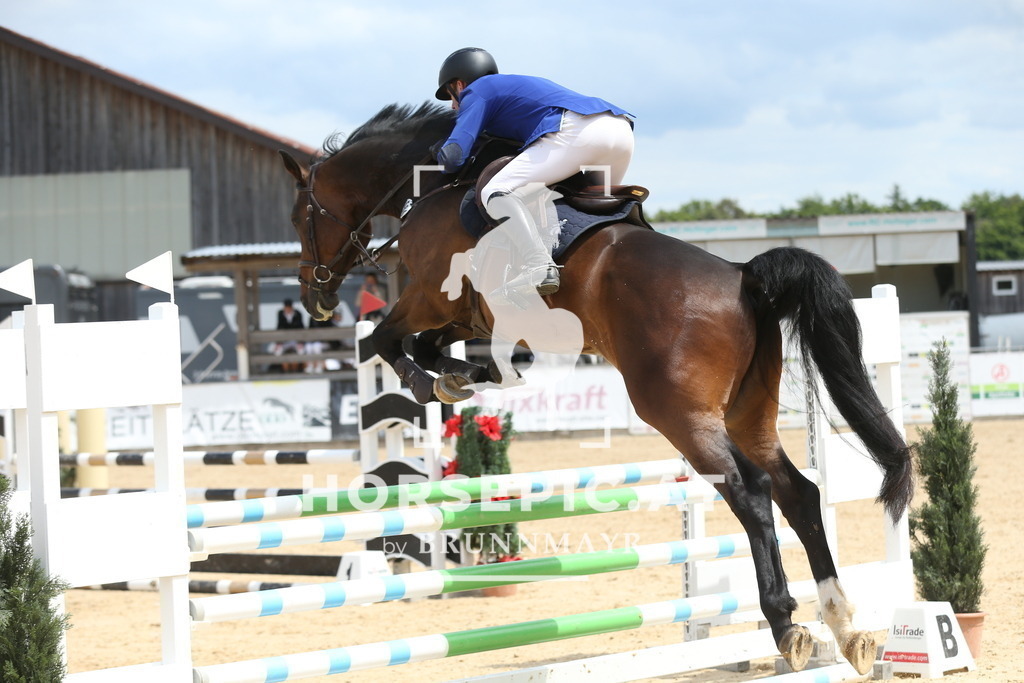 DL2Q6099 | Willkommen bei Brunnmayr - Design & Fotografie – Ihrem Spezialisten für Reitturniere und Pferdeveranstaltungen in Oberösterreich, Salzburg und Bayern! Seit über 17 Jahren sind wir leidenschaftlich dabei.