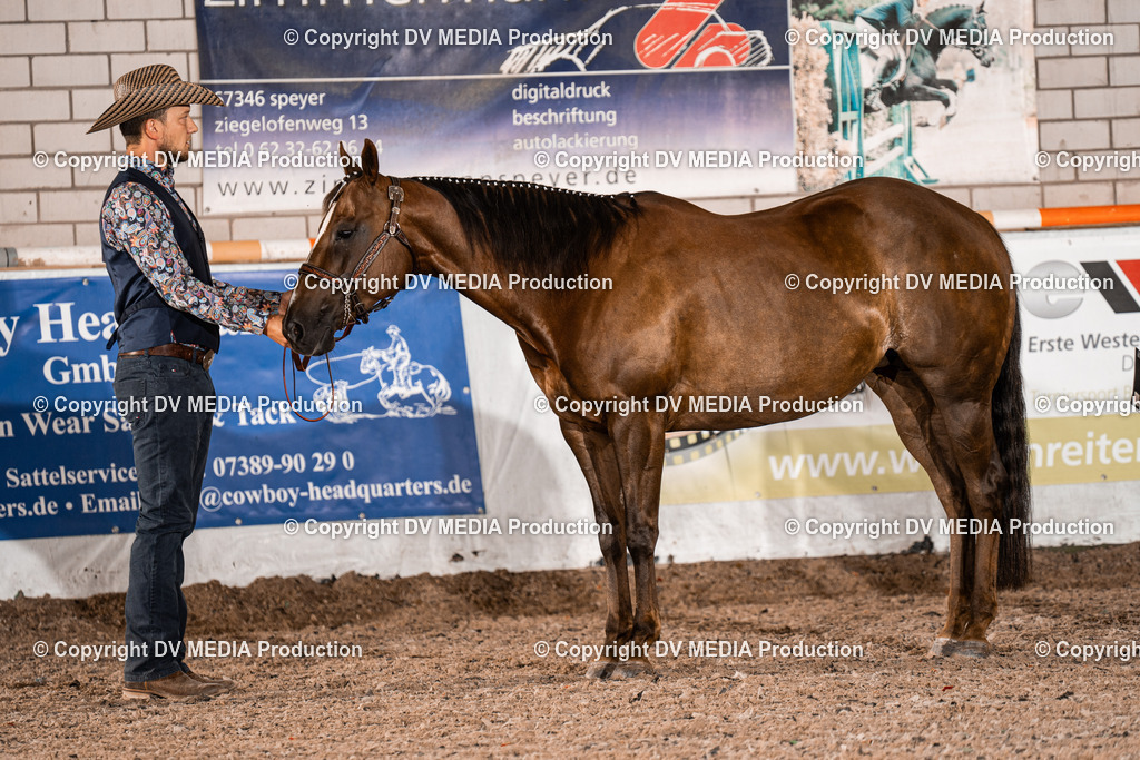 ZH200040 | dv-media-shop - Realisiert mit Pictrs.com