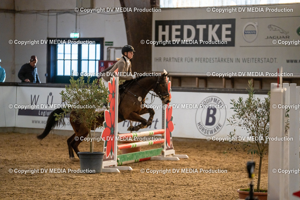 Kranichstein Tag 2-1050 | dv-media-shop - Realisiert mit Pictrs.com