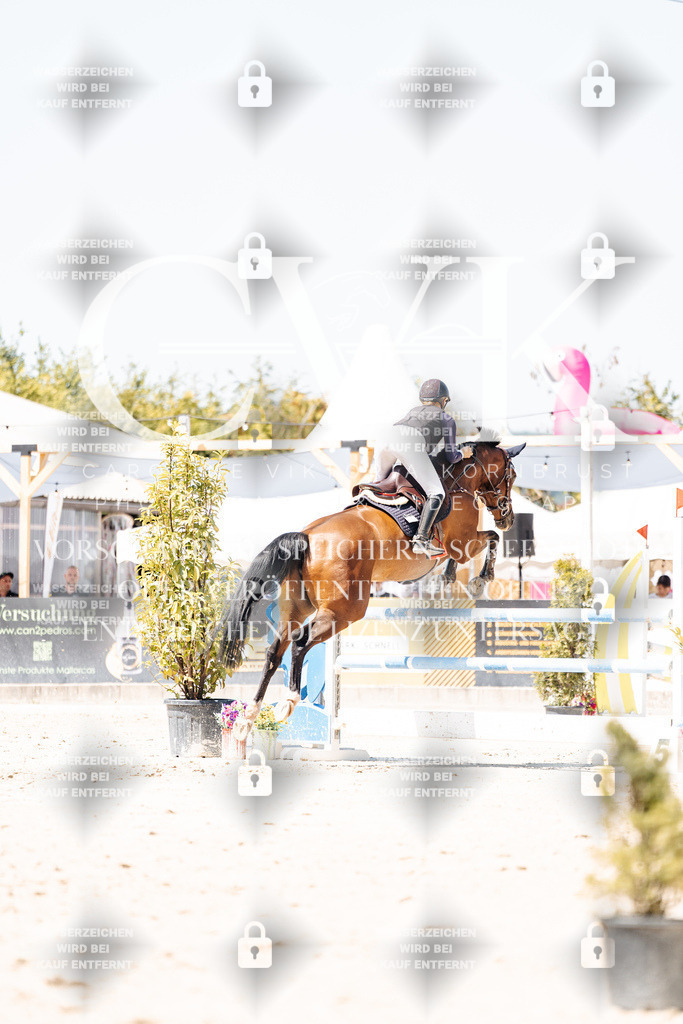 CK900112 | Turnierfotografie Pferdefotografie Trier Rheinland-Pfalz Pferdesport Reitsport Tierfotografie Sportfotografie Pferdevideo Pferdevideografie Equestrianvideography equestrianphotography  - Realisiert mit Pictrs.com