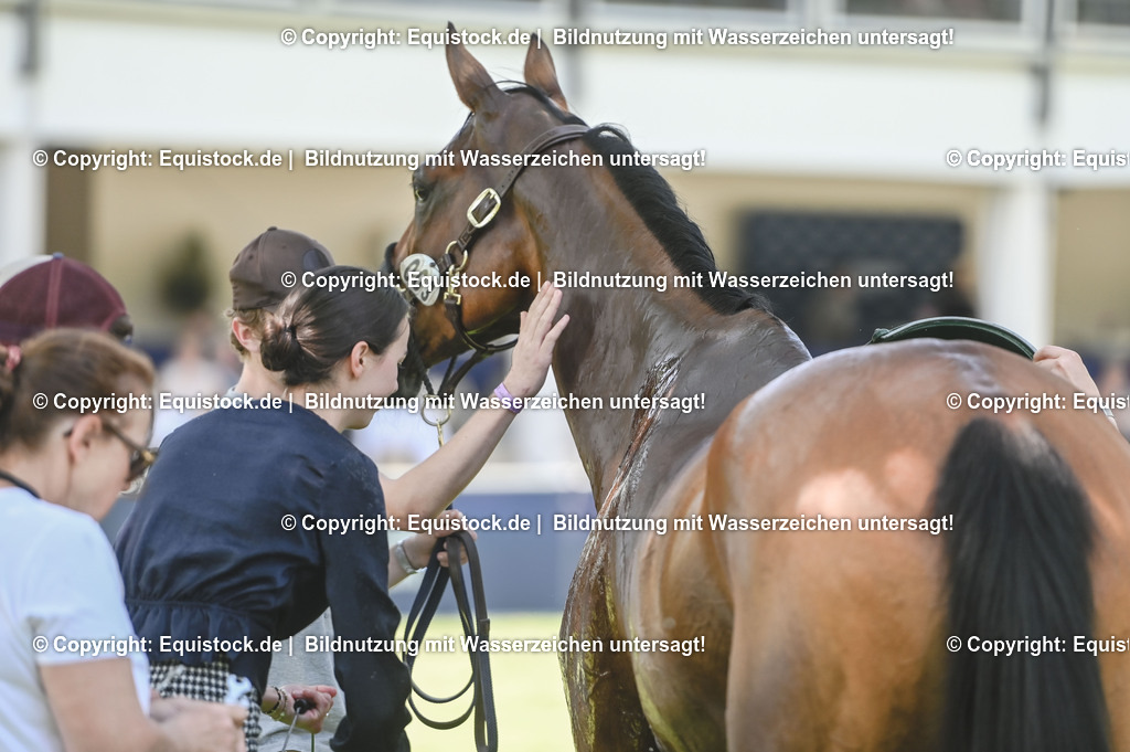 20230527_27_CCI4_Gelände_0280 | equistock