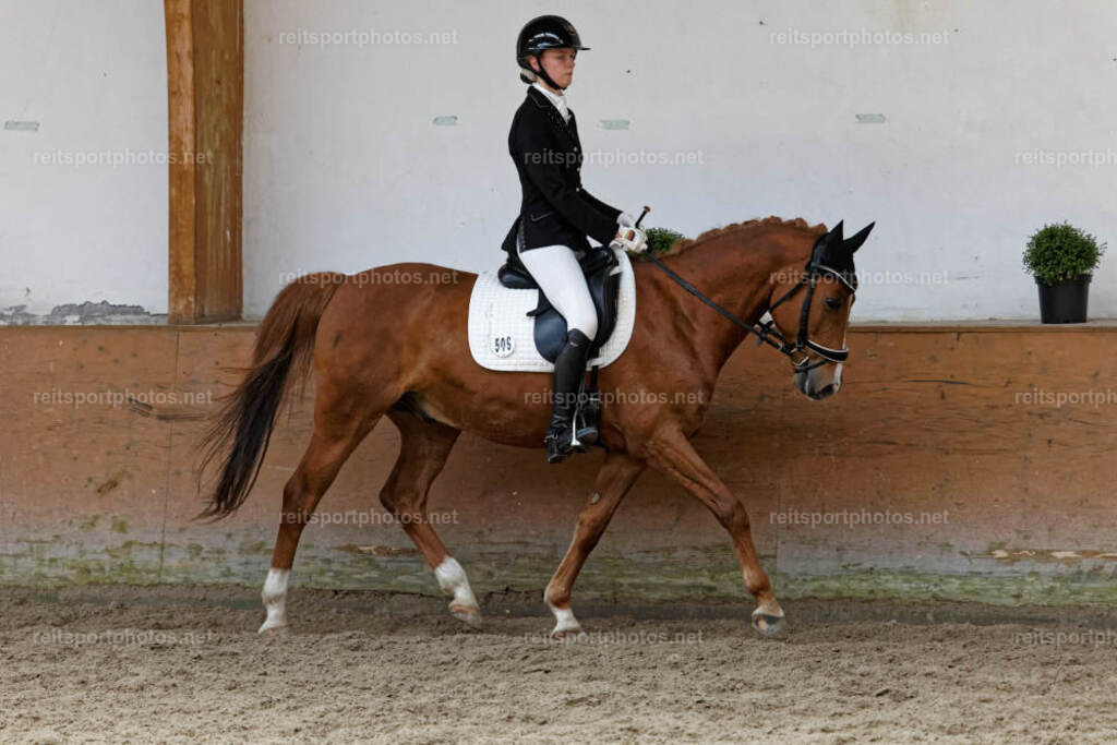 JHE32816 | JoYa Fotografie - Realisiert mit Pictrs.com