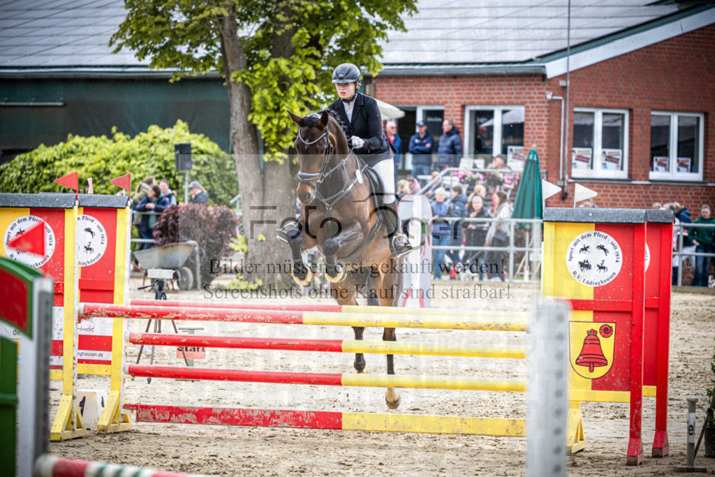 DOS_2362 | Reitturnier Lüdinghausen - Realisiert mit Pictrs.com
