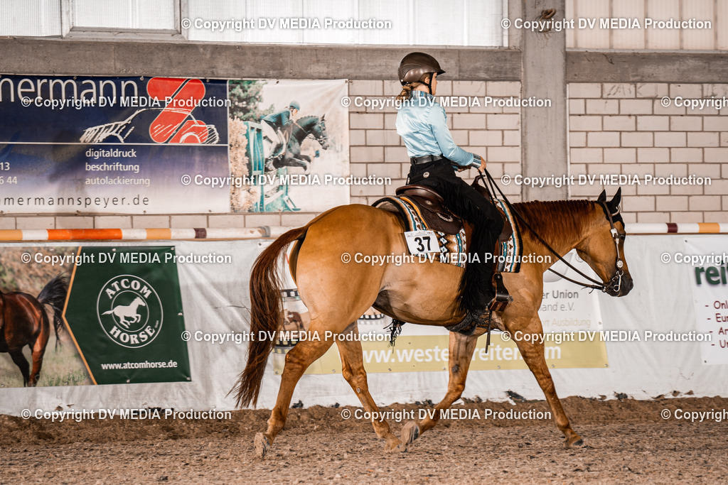 ZH300024 | dv-media-shop - Realisiert mit Pictrs.com