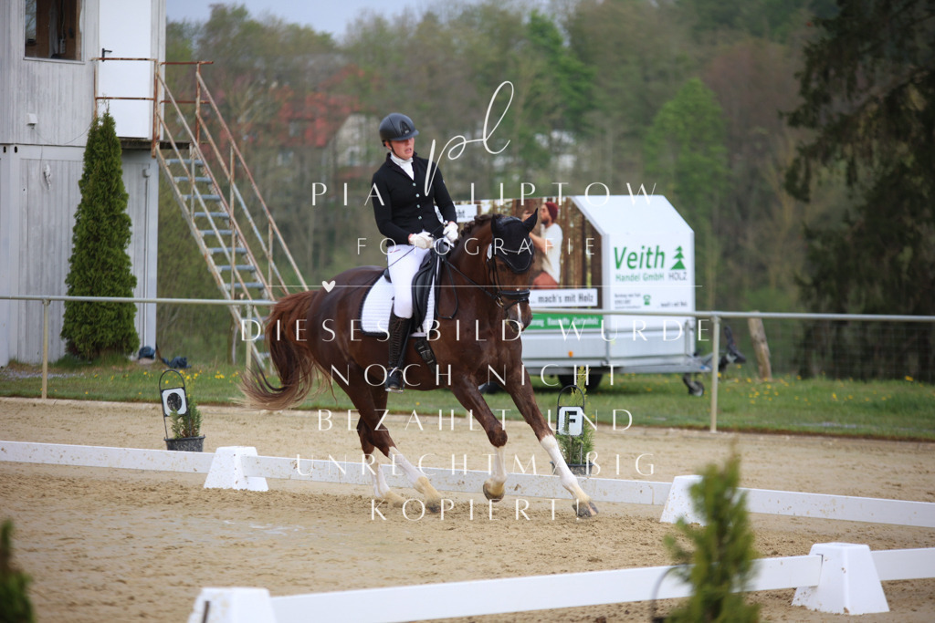 IMGT7816 | pl-fotografie