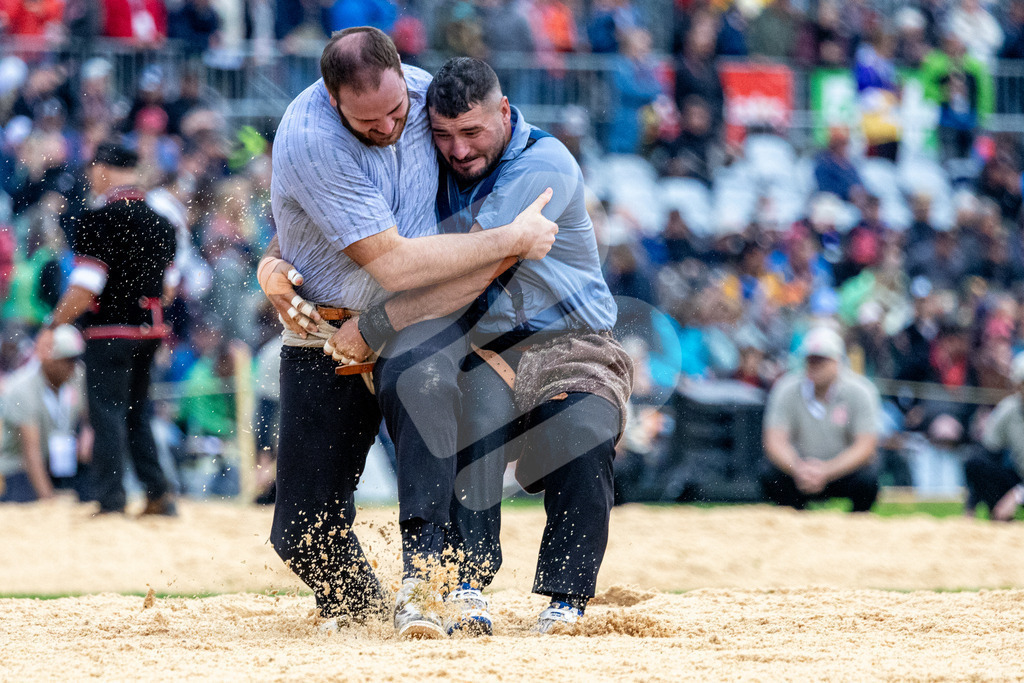 ESAF2025_01Gang_4876 | Die Schwinger des Schwyzer Kantonalen Schwingerverbandes: Fotos, die Dynamik und Leidenschaft festhalten, sowie emotionale Momente aus dem traditionellen Schwingsport zeigen. - Realisiert mit Pictrs.com