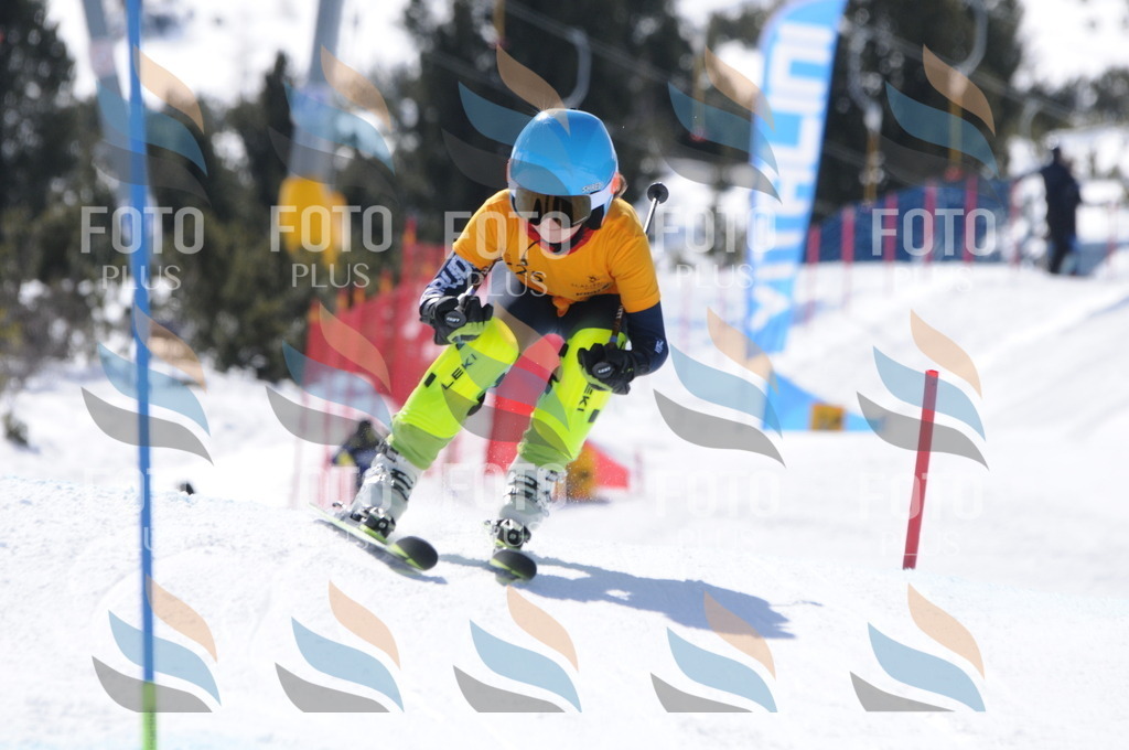 C9242 | holidayphoto