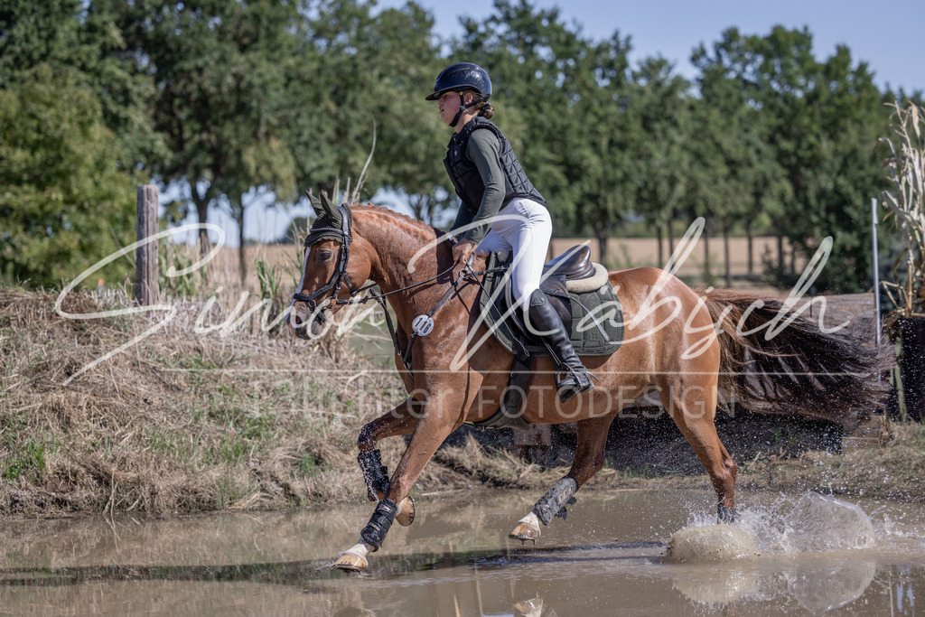 20260906-_3LI3551 | Tierfotografie Pferde, Hunde, Katzen, Haustiere.
Turnierfotografie Reitturniere, Reiten, Springreiten, Dressur in Hanau, dem Main-Kinzig-Kreis und dem Rhein-Main- Gebiet um Frankfurt