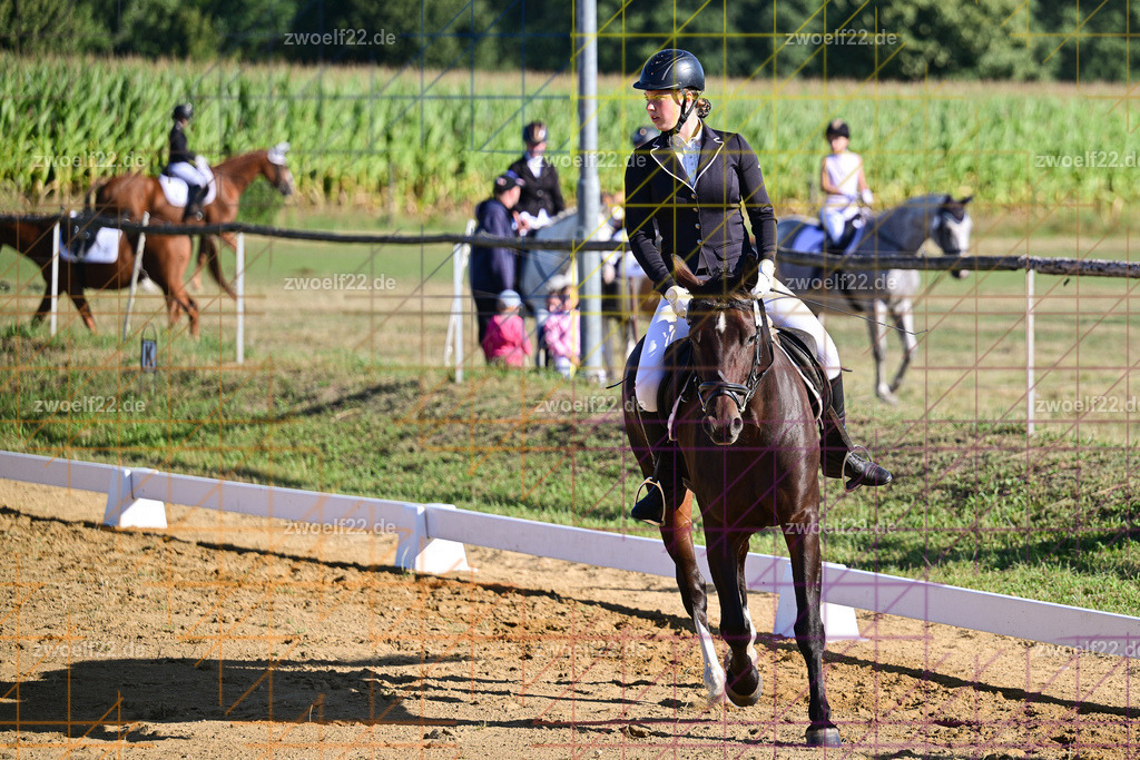 30 Jahre RFV Pulsnitz e.V., Pulsnitz am 09.08.2026 | Zur 28. breitensportlichen Veranstaltung des RFV Pulsnitz e.V. fanden verschiedene Wettbewerbe in nahezu allen Disziplinen des Pferdesport statt. - 04 Großer Dressur-Wettbewerb - Realisiert mit Pictrs.com