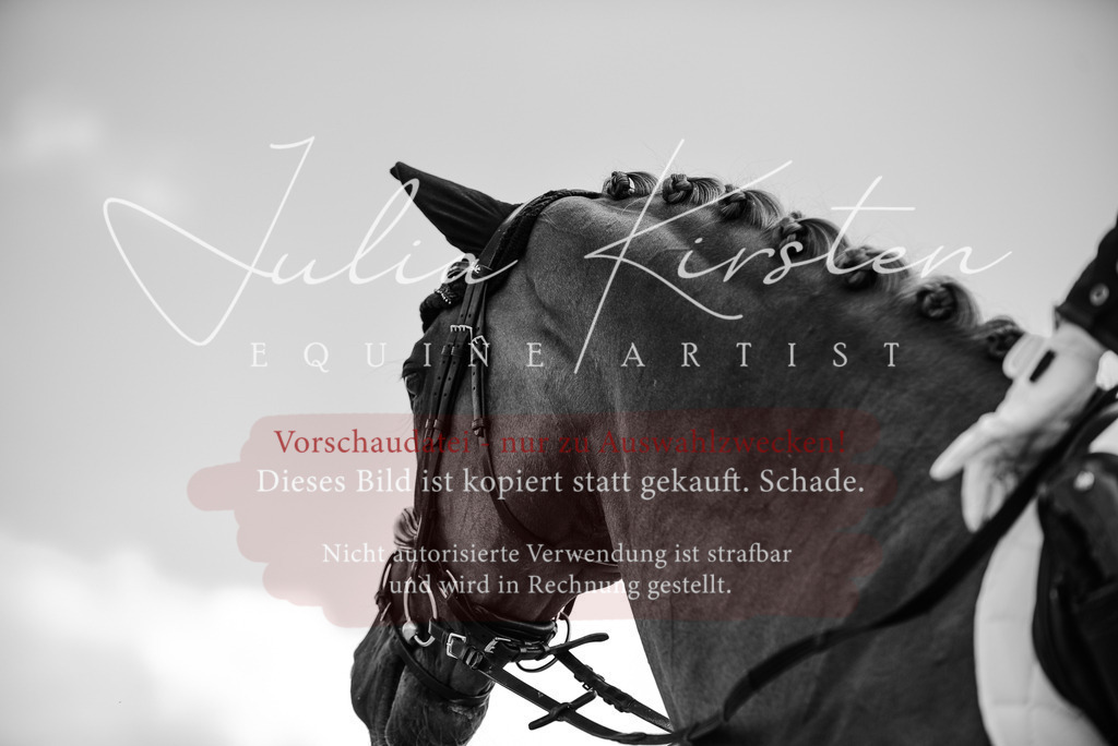 DSC_9142 | Pferde- und Turnierfotografie in Westsachsen. Pferdeportraits, Auftragszeichnungen und intuitive Kunst.