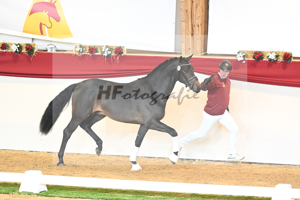 Kat-Nr. 72 Vaderland_Durrer_1230521 | hf-fotografie - Realisiert mit Pictrs.com