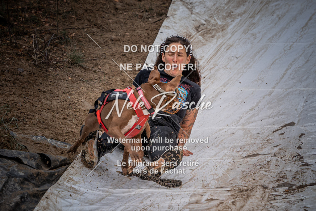 nelerasche_Creepy2025_So1130-1200_427 | nelerasche