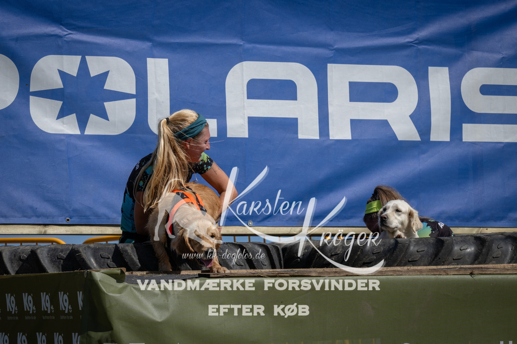 1205_ZZ93890 | kk-dogfotos