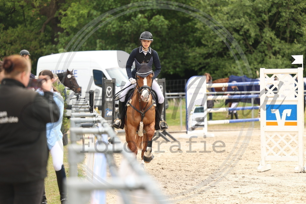 994A8930 | sabrinanicolaifotografie - Realisiert mit Pictrs.com