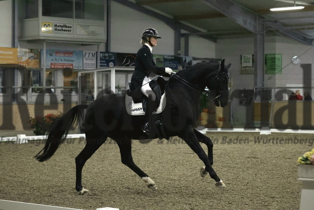 Wiesental_2025_NBM_Prfg.Nr.04_Prix St.Georges_Valerie del Rio Pfeffer_Braveheart 61 (9) | Alle Fotos der Reiterjournal Fotografin Doris Matthaes im Reiterjournal Online-Fotoshop. - Realisiert mit Pictrs.com