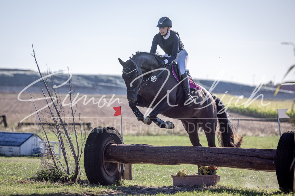 20260906-_3LI1317 | Tierfotografie Pferde, Hunde, Katzen, Haustiere.
Turnierfotografie Reitturniere, Reiten, Springreiten, Dressur in Hanau, dem Main-Kinzig-Kreis und dem Rhein-Main- Gebiet um Frankfurt